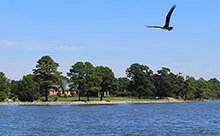 Chesapeake Bay