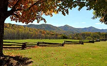 Virginia Land