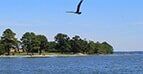 Chesapeake Bay Homes