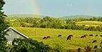 Virginia Land for Sale