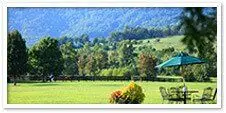 Monticello Wine Trail