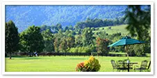 Monticello Wine Trail
