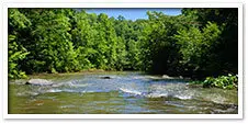 River Buying Guide
