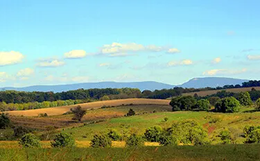 Madison County Real Estate