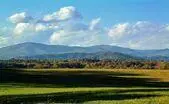 Albemarle Farms 100 Acres