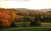 Albemarle Farms 50 Acres