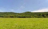 Albemarle Land $100,000 - $200,000