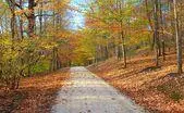 Albemarle Land $200,000 - $400,000
