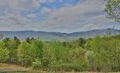 Land in Albemarle 25 - 40 Acres