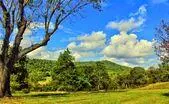 Albemarle Land $600,000 - $800,000