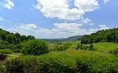 Albemarle Land $800,000 - $1,000,000