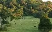 Augusta County Virginia Land