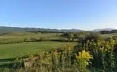 Augusta County Virginia Land