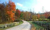 Greene County Virginia Land