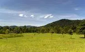 Madison County Virginia Land