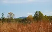 Orange County Virginia Land