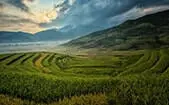 Richmond Farm Land