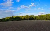 Richmond Farm Land
