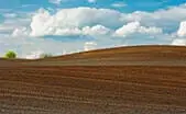 Richmond Farm Land