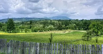 Shenandoah Farm Land