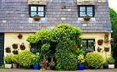 Charlottesville Historic Homes for Sale