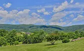 Shenandoah Valley Real Estate