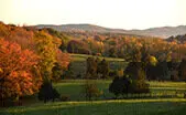 Wintergreen Real Estate