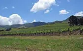 Harrisonburg Farms for Sale
