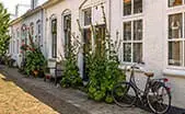Harrisonburg Historic Homes for Sale