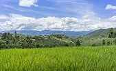 Harrisonburg Land