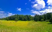 Harrisonburg Land
