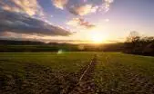 Chesterfield Virginia Land