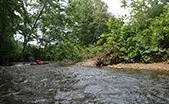 Shenandoah