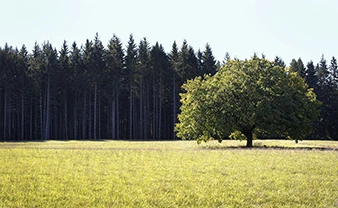 land-1-5-acres