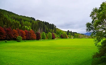 land-5-10-acres