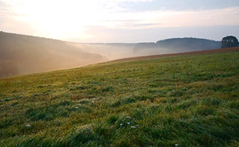 land-25-50-acres