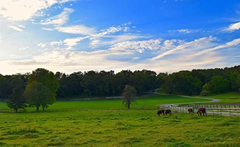land-over-50-acres
