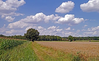 land-100-200