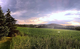 land-1m