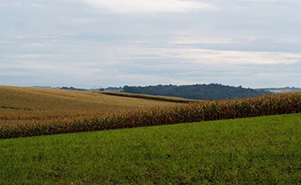 Shenandoah Valley Land