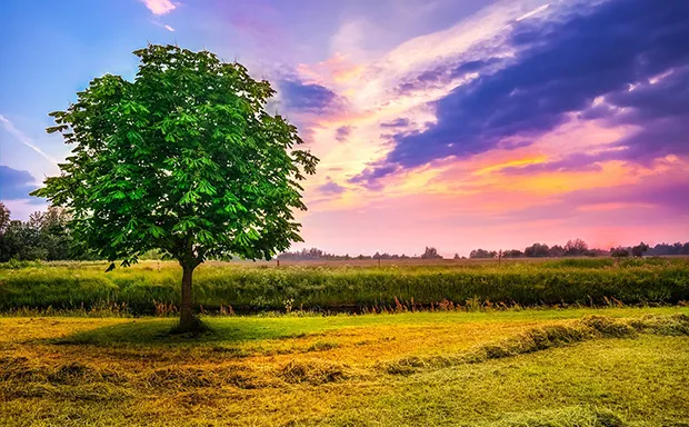 Charlottesville Farms for Sale