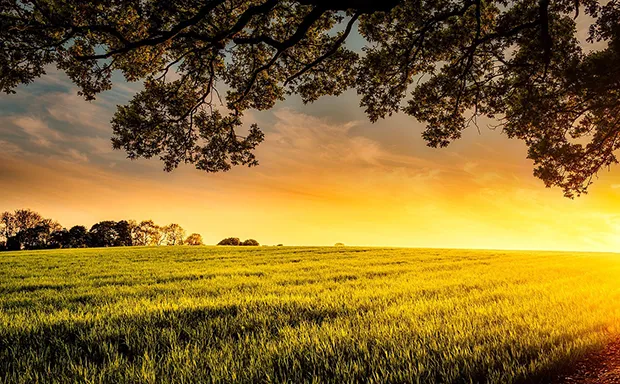Northern Virginia Farms for Sale