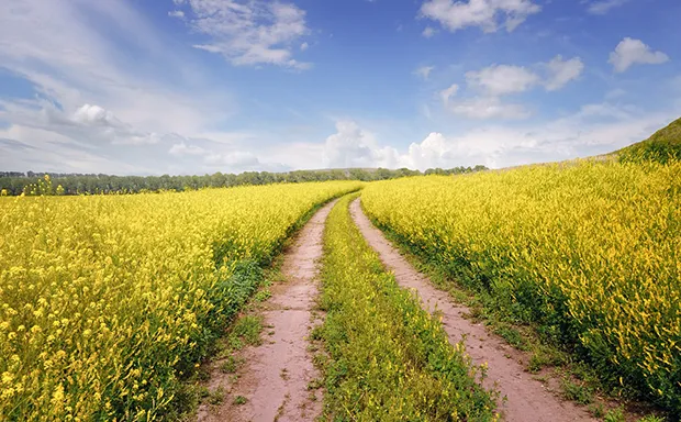 Richmond Farms for Sale