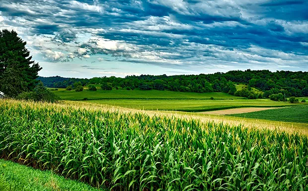 Richmond Farms for Sale