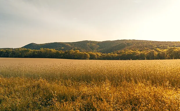 Shenandoah Valley Farms for Sale